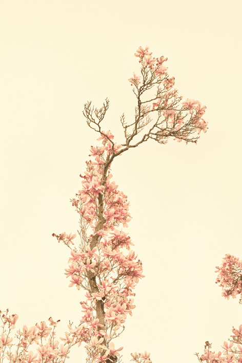 Prolab Newsletter - 